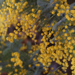 スクリーンショット 2026-03-14 143710