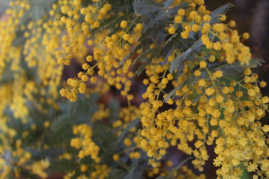 スクリーンショット 2026-03-14 143710