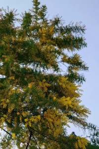 2026-03-30 15.32.15-1