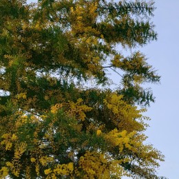 2026-03-30 15.32.15-1