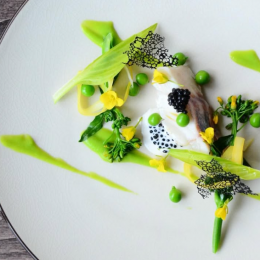 スクリーンショット 2026-04-30 184904