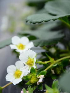 スクリーンショット 2026-04-10 102512