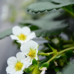 スクリーンショット 2026-04-10 102512